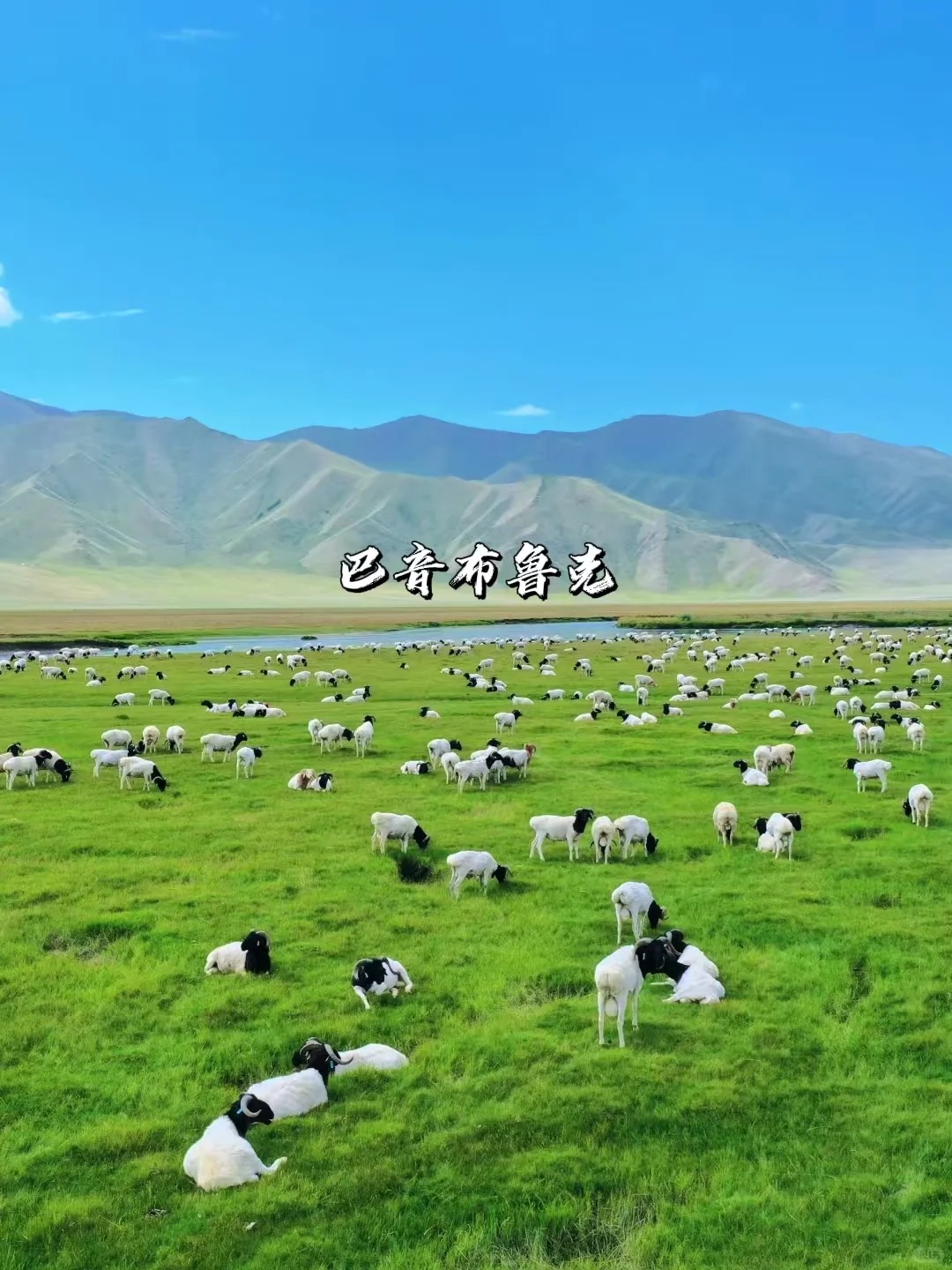 一次性讲清楚｜新疆伊犁八大草原怎么选？_9_风驰旅行_来自tour520旅游攻略